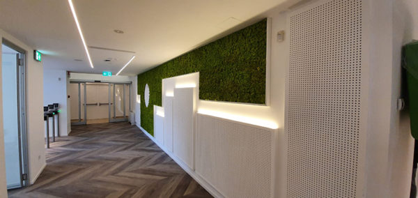 rf-alternative-power1